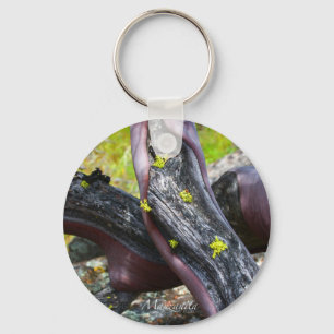 Chaveiro Cadeia de Chaves Manzanita