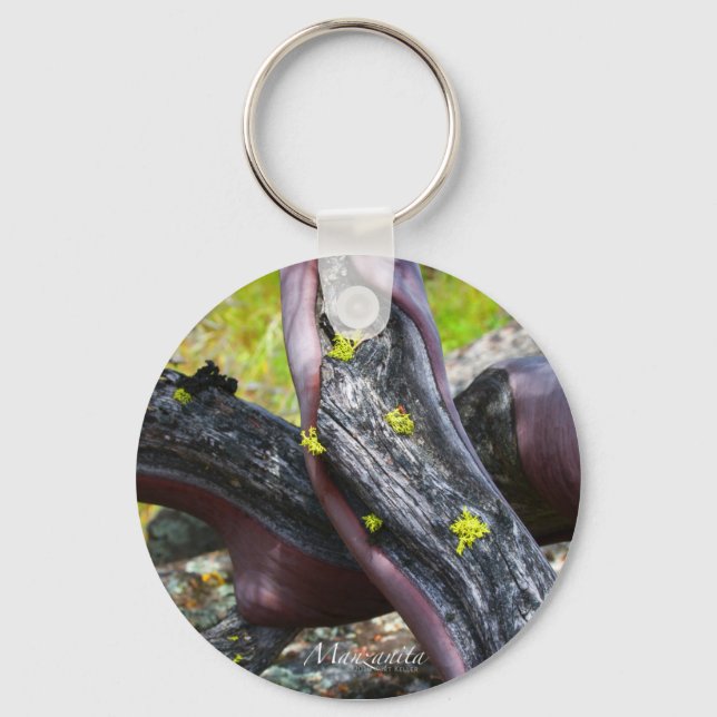 Chaveiro Cadeia de Chaves Manzanita (Frente)