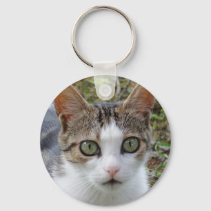 Chaveiro Cadeia de Chaves Tabby Cat