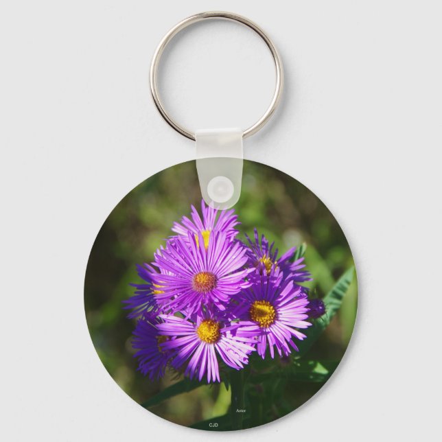 Chaveiro Cadeia de teclas Aster (Frente)
