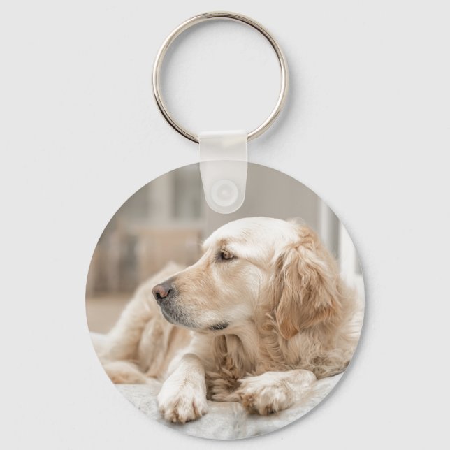 Chaveiro Cadeia de teclas com a imagem do Ouro Retriever (Frente)