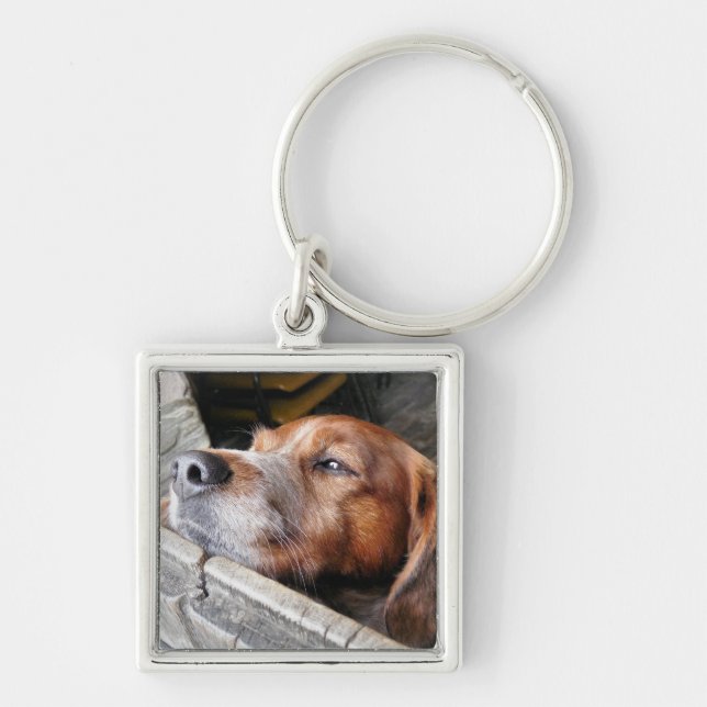 CHAVEIRO CÃES (Frente)