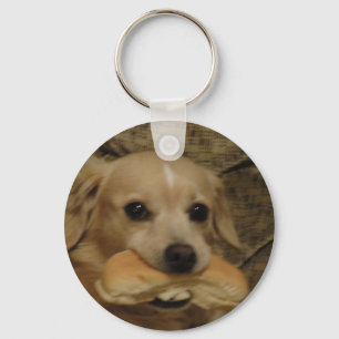 Chaveiro Cães obtidos?