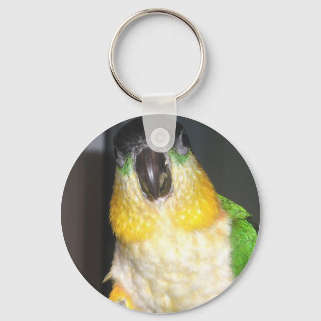 Chaveiro Caique (Frente)