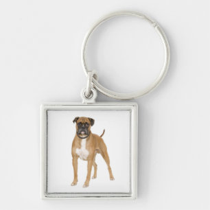 Chaveiro Caixa de Amante de Cachorro Boxer Fofo