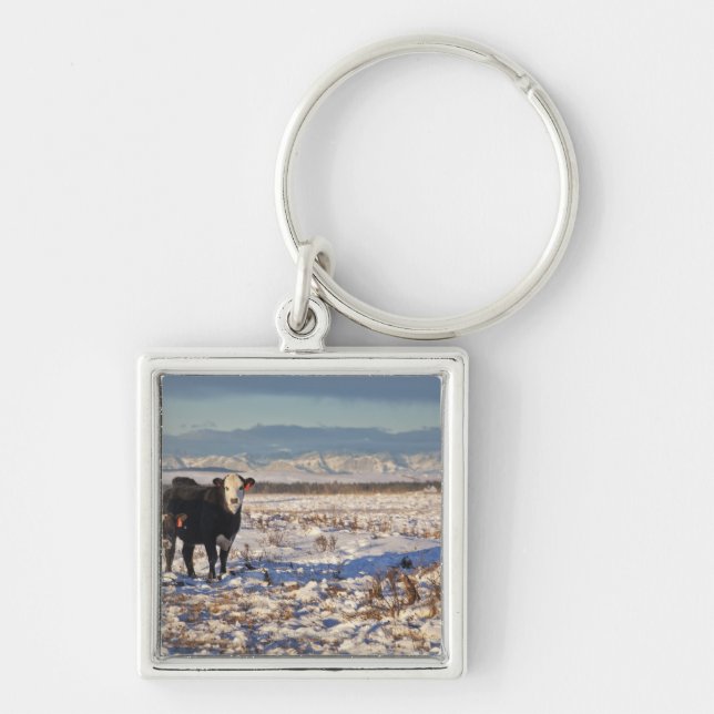 Chaveiro calgary, Alberta, Canadá (Frente)