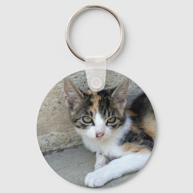 Chaveiro Calico Kitten (Frente)