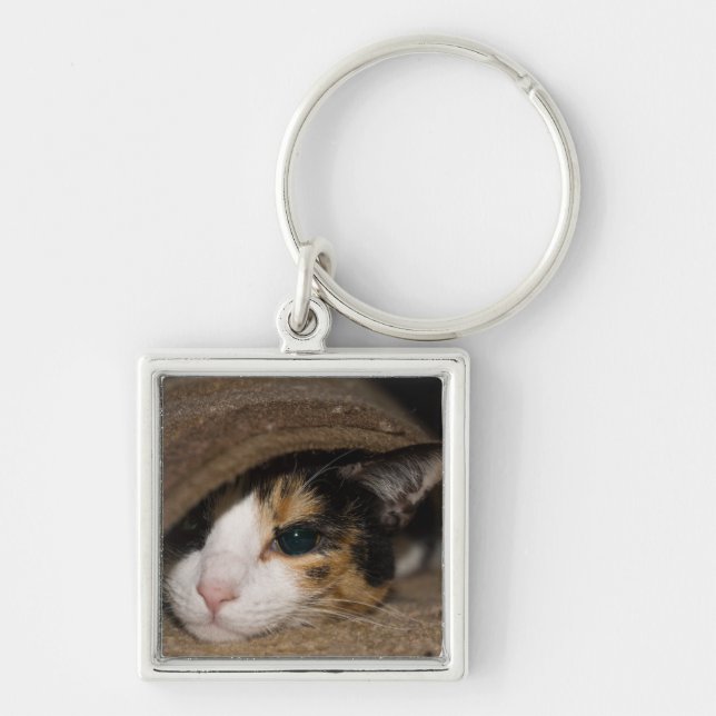 Chaveiro Calico Taco (Frente)