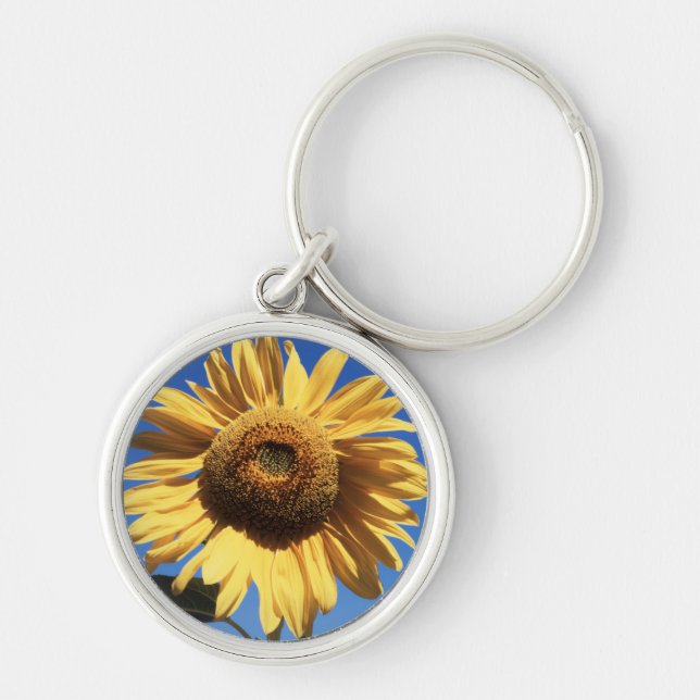 Chaveiro Califórnia, Um Girassol Mammoth (Helianthus) 3 (Frente)