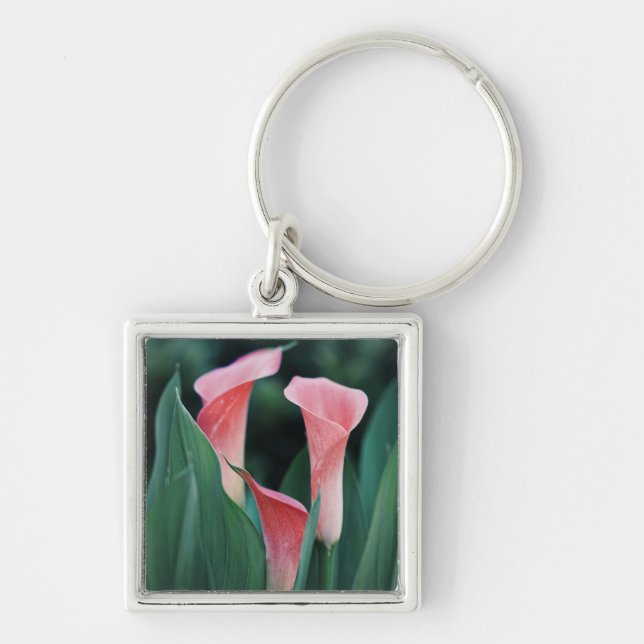 Chaveiro Calla Lily Pink Flowers (Frente)