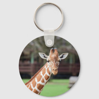 Chaveiro Camelopard (girafa)