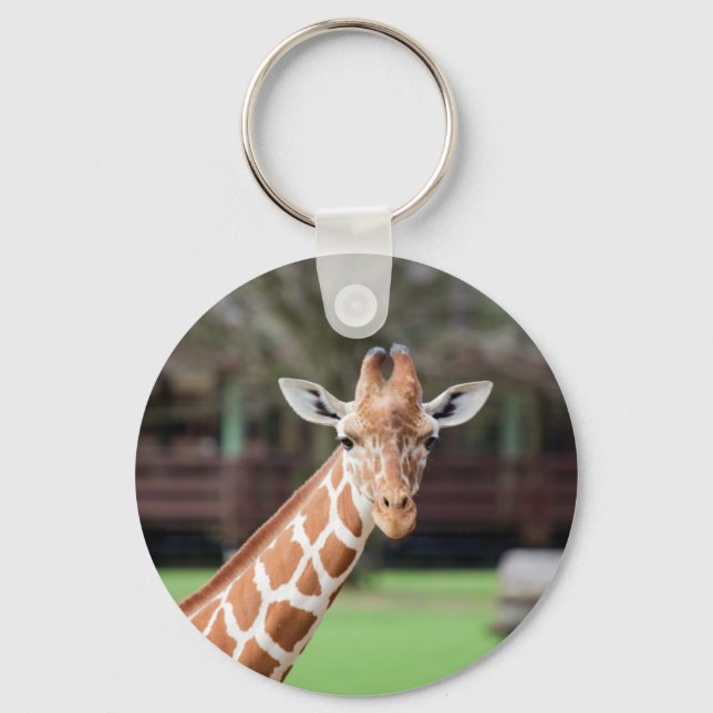 Chaveiro Camelopard (girafa) (Frente)
