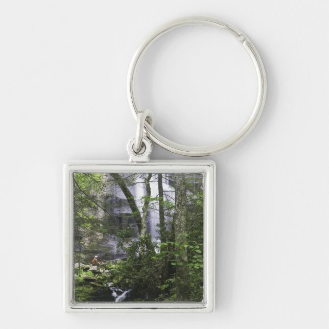 Chaveiro Caminhante admira Falls Branch Falls (Frente)