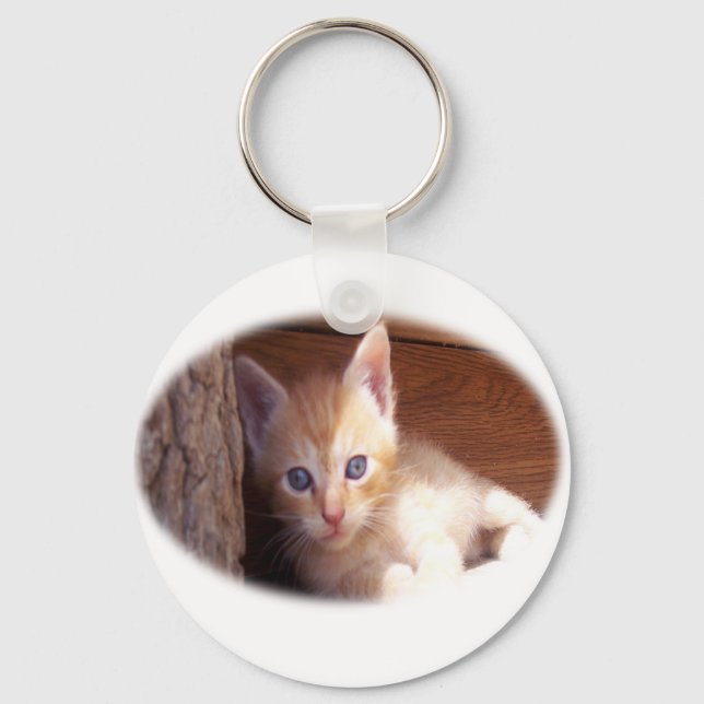 Chaveiro Camisetas e super mix de gatinhos (Frente)