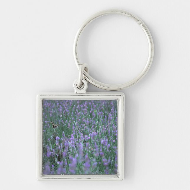 Chaveiro Campo da lavanda (Frente)
