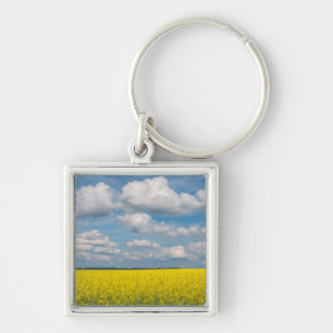 Chaveiro Campo de Canola & Nuvens
