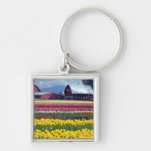 Chaveiro Campo de exibição de tulipas