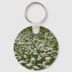 Chaveiro Campo de flores silvestres do Alasca da Daisies