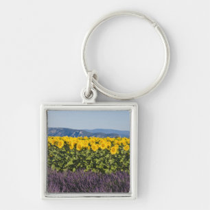 Chaveiro Campo de girassóis e flores de lavanda,