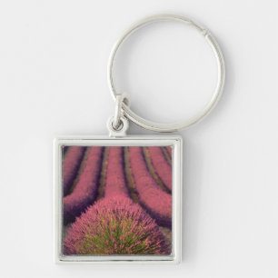 Chaveiro Campo de lavanda na Alta Provença, França 2