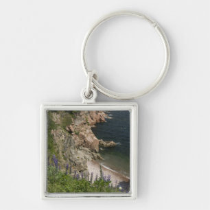 Chaveiro Canadá, Nova Escócia, Ilha do Cabo Breton, Cabot 3
