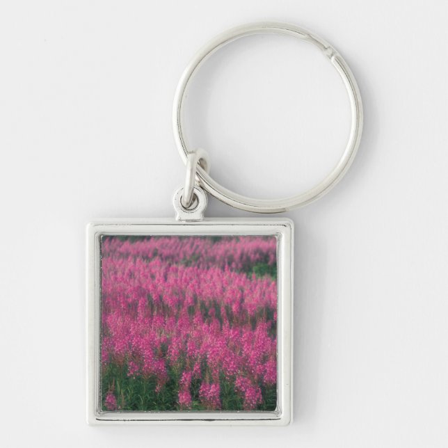 Chaveiro Canadá, Quebec, Gaspe. Flores Roxas de Lythrum, (Frente)