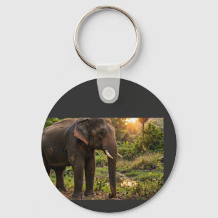 Chaveiro Caneca de Elefante do Parque Nacional de Yala - Vi