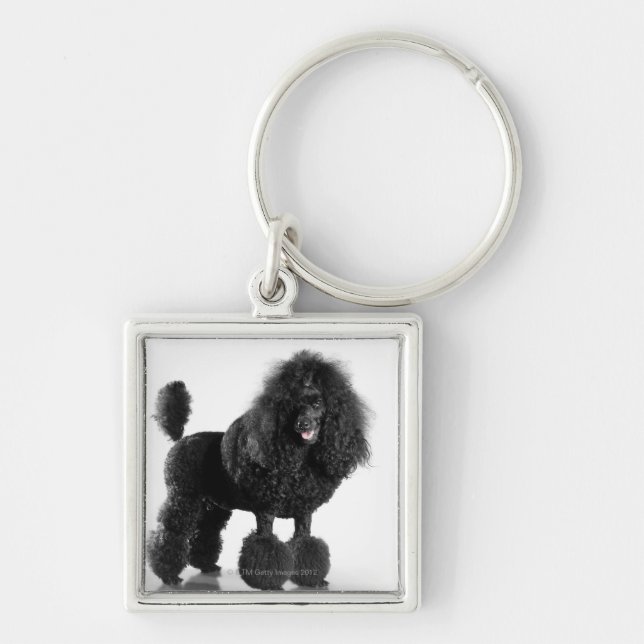 Chaveiro Caniche preta aparada (Frente)