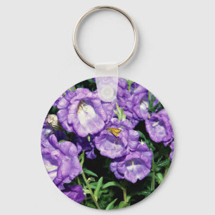 Chaveiro Canterbury bells, flor bienal comum dura