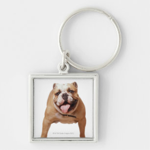 Chaveiro , cão