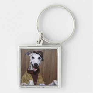 Chaveiro Cão acima vestido de Whippet na mesa de jogo