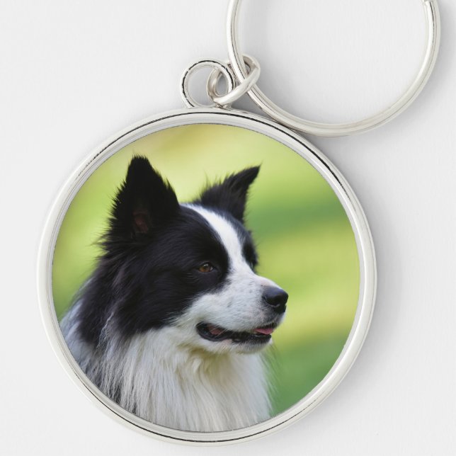 Chaveiro Cão Border Collie Preto e Branco (Frente)