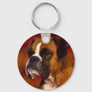 Chaveiro Cão-boxer