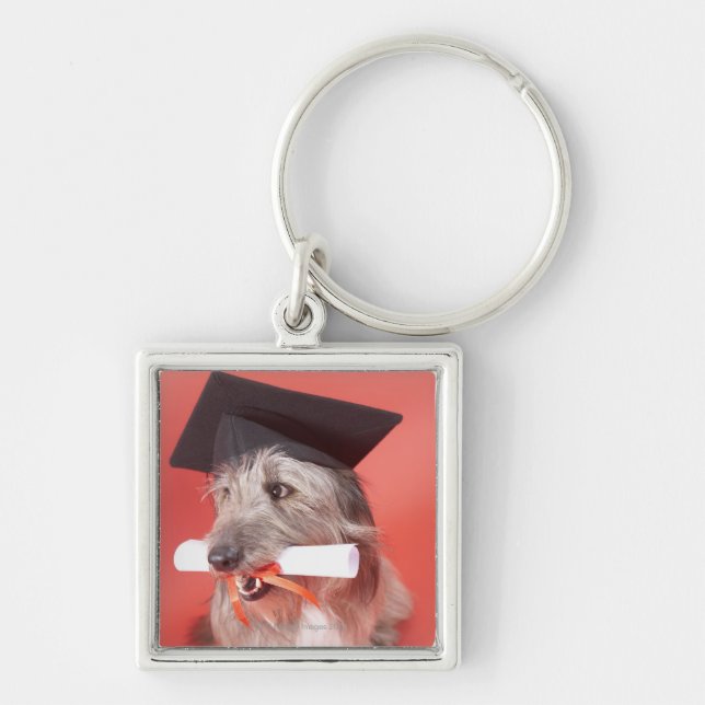 Chaveiro Cão com mortarboard e diploma (Frente)