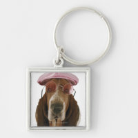 Cão de Basset nos óculos de sol e no boné