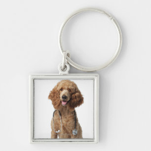 Chaveiro Cão de caniche dourado que veste um estetoscópio