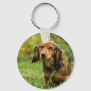 Chaveiro Cão de Dachshund bonito