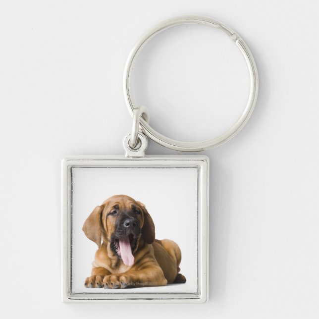 Chaveiro Cão de filhote de cachorro 2 (Frente)