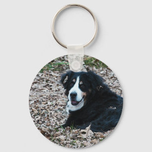 Chaveiro Cão de montanha de Bernese no outono