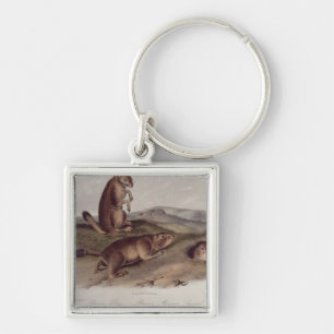 Chaveiro Cão de pradaria 'dos Quadrupeds de North America