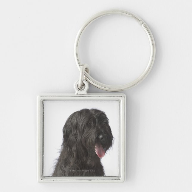 Chaveiro Cão preto, Briard (Frente)