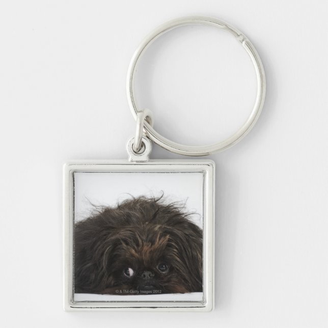 Chaveiro Cão preto de Pekingese que encontra-se para baixo (Frente)