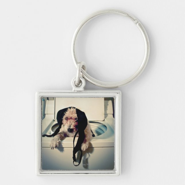 Chaveiro Cão que ajuda para fora com a lavagem (Frente)