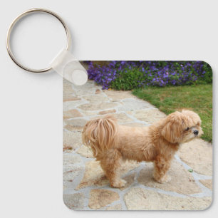 Chaveiro Cão Red Lhasa Apso
