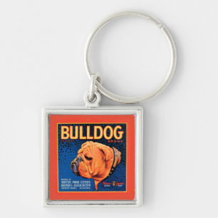 Chaveiro Cão Touro sobre fundo azul