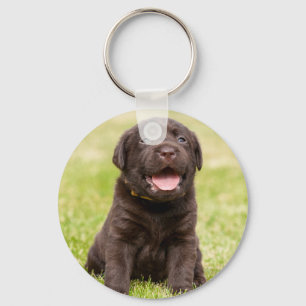 Chaveiro Cãozinho bonito