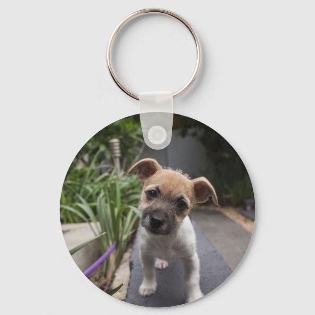 Chaveiro Cãozinho de terrier de borda super-cega (Frente)