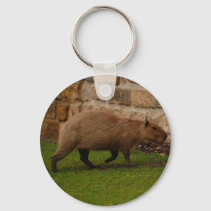 Chaveiro capivara