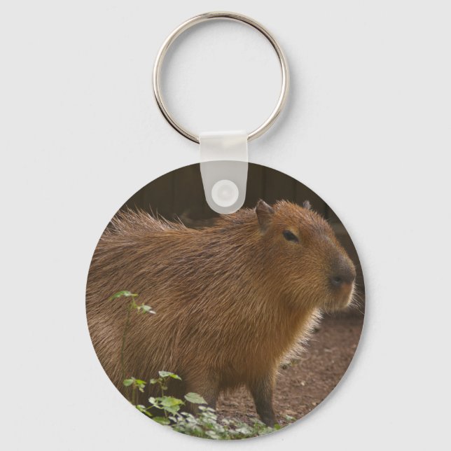 Chaveiro Capybara (Frente)