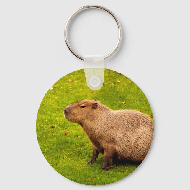 Chaveiro Capybara (Frente)